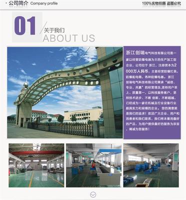 一体式防爆投光灯价格与供应厂家全指南 浙江创瑞电气LED防爆投光灯解析